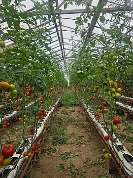 Kirayə verilir obyekt 11000 m² — Bakı 11000.00 m²