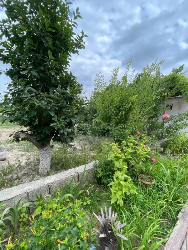 Satılır 5 otaqlı həyət evi 280 m²