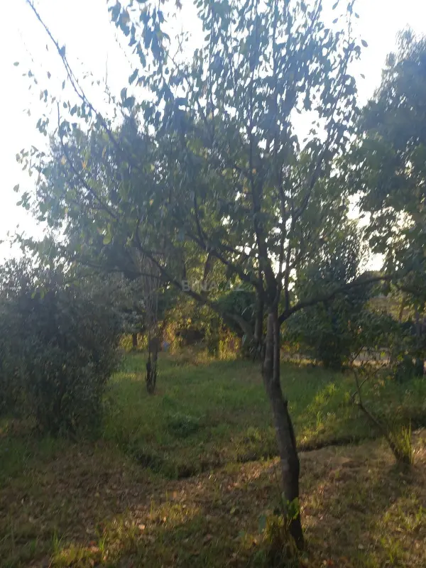 Satılır torpaq sahəsi 11 m²