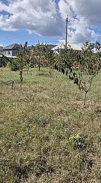Satılır torpaq sahəsi 3 m² — Quba 3.00 m²