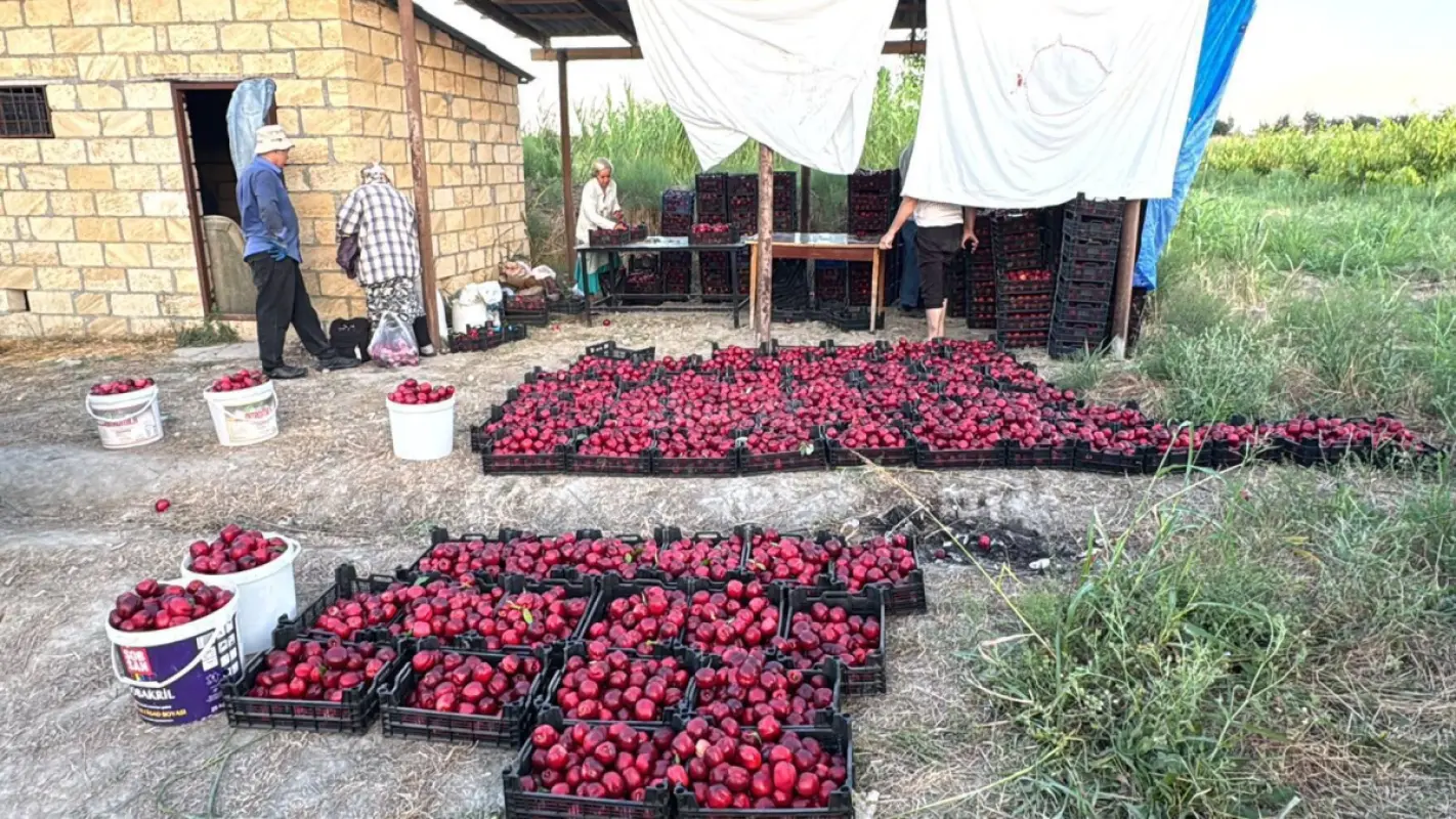 Satılır torpaq sahəsi 200 m²