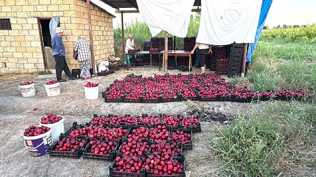 Satılır torpaq sahəsi 200 m² — Bakı 200.00 m²