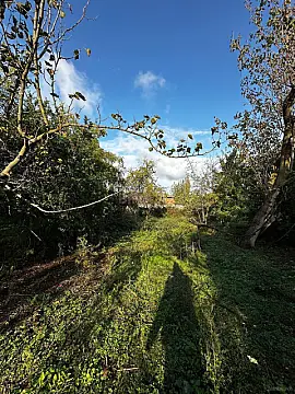 Satılır torpaq sahəsi 7 m² — Göyçay 7.00 m²