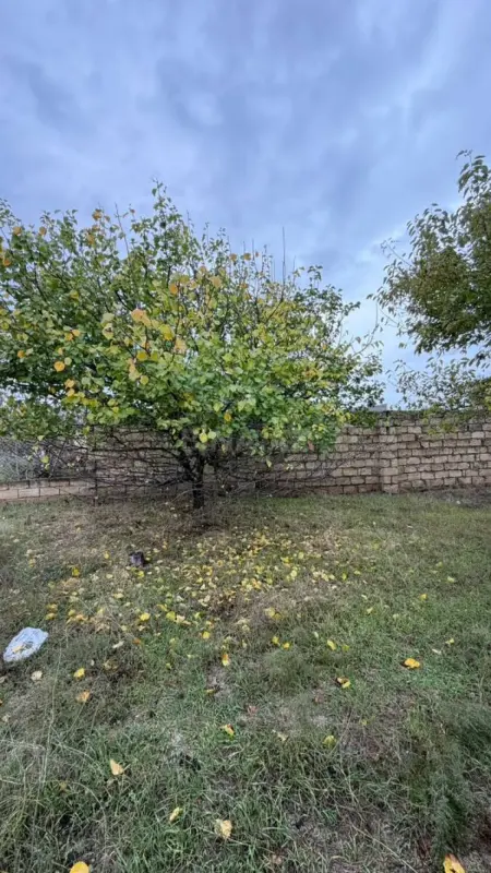 Satılır torpaq sahəsi 5 m²