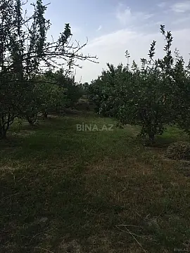 Satılır torpaq sahəsi 69 m² — Xaçmaz 69.00 m²