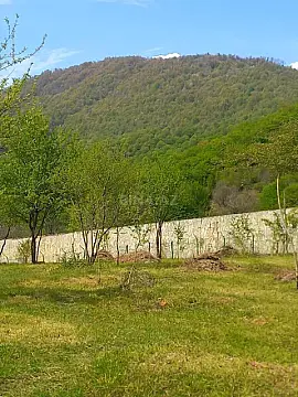 Satılır torpaq sahəsi 100 m² — Qəbələ 100.00 m²