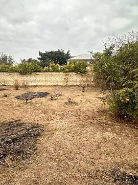 Satılır torpaq sahəsi 4 m² — Bakı, Novxanı 4.00 m²