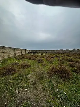 Satılır torpaq sahəsi 8 m² — Neftçala 8.00 m²