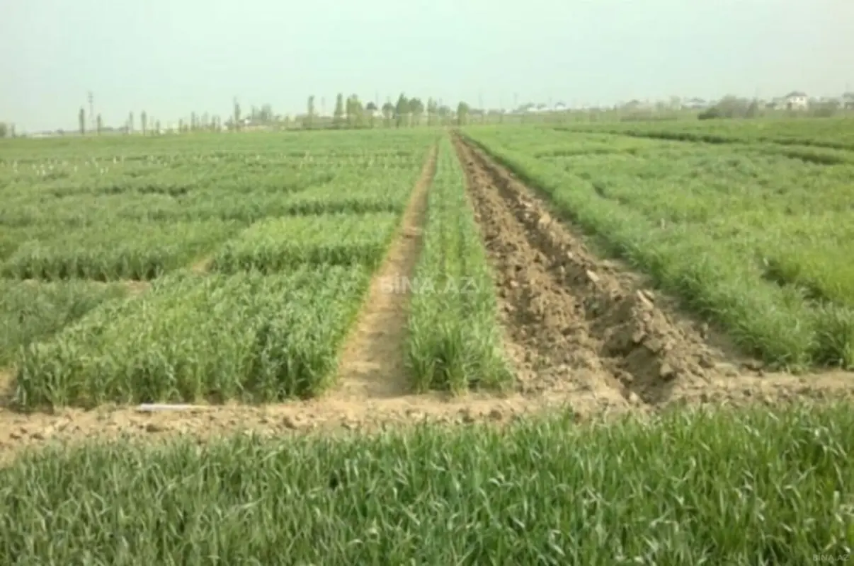 Satılır torpaq sahəsi 200 m²
