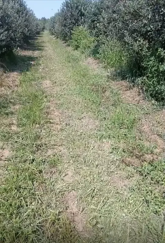 Satılır torpaq sahəsi 930 m²