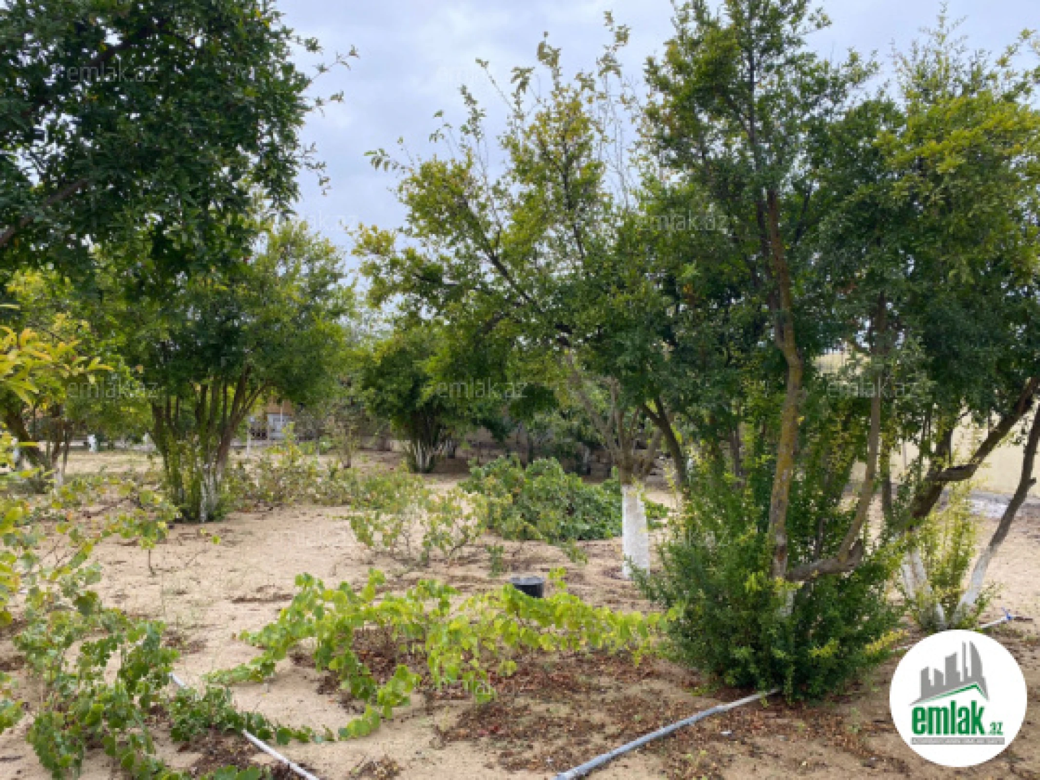 Satılır torpaq sahəsi 24 m²