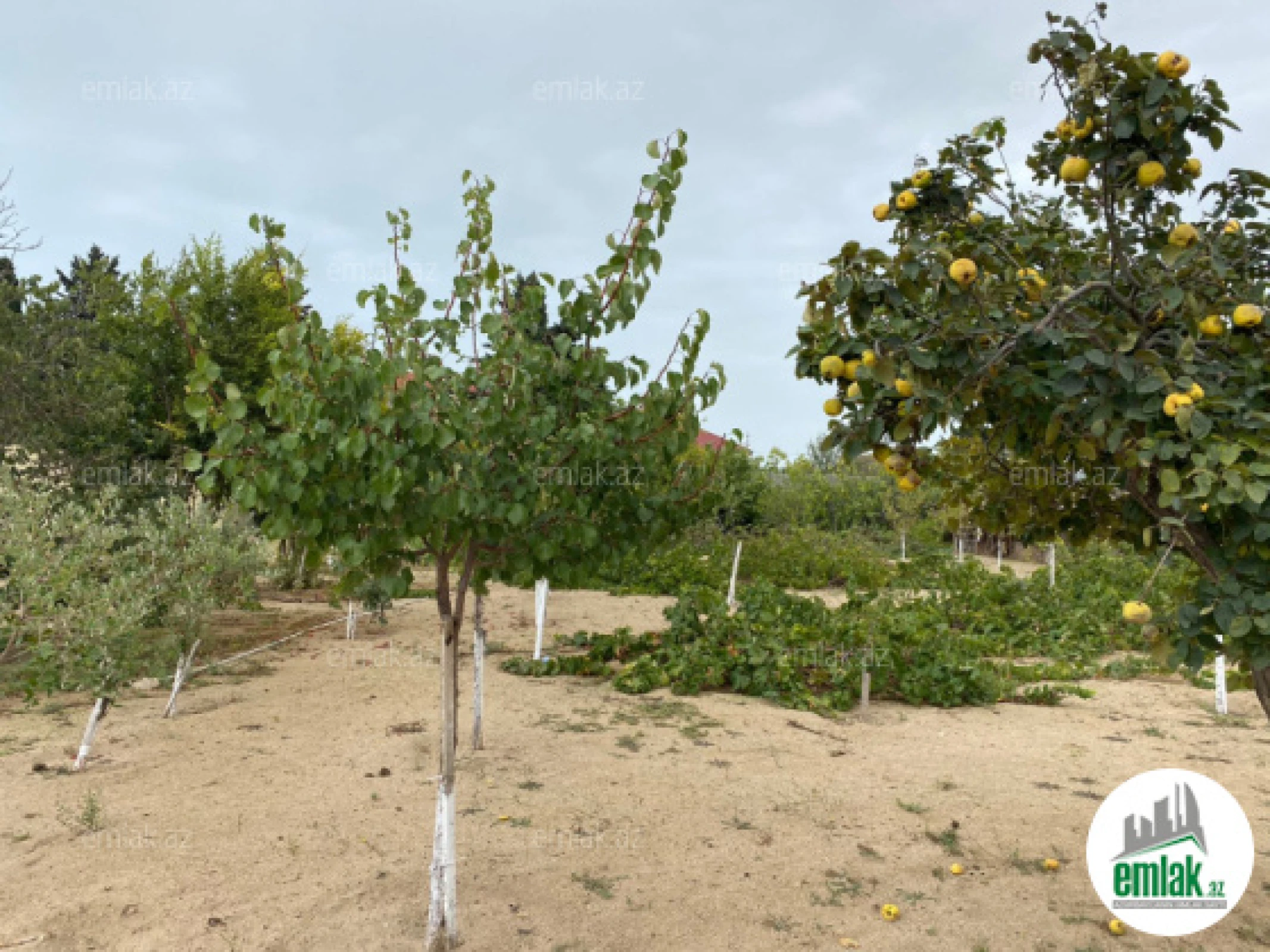 Satılır torpaq sahəsi 24 m²
