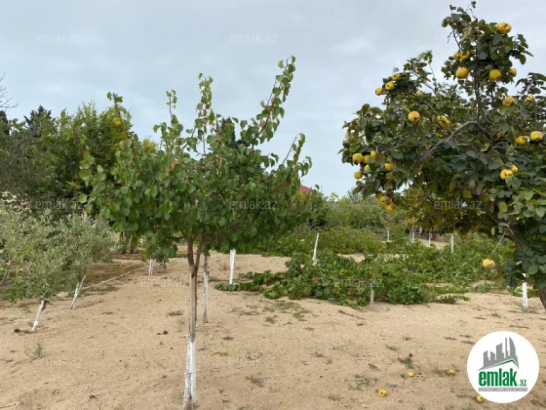 Satılır torpaq sahəsi 24 m²