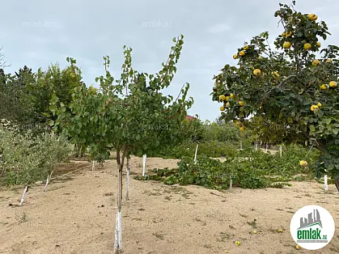 Satılır torpaq sahəsi 24 m²