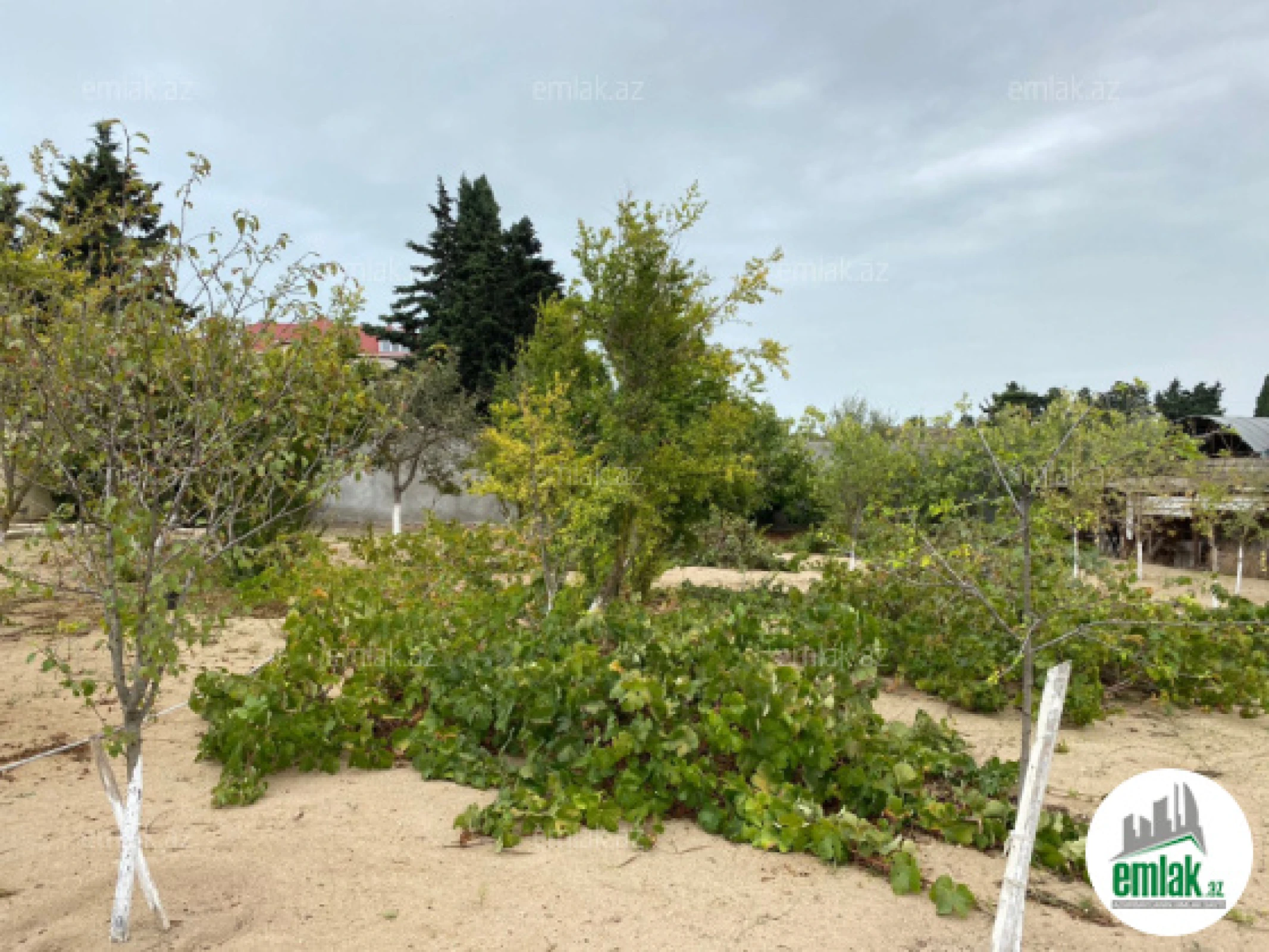 Satılır torpaq sahəsi 24 m²