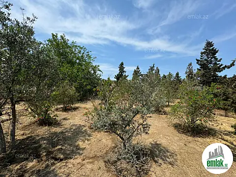 Satılır torpaq sahəsi 14 m²