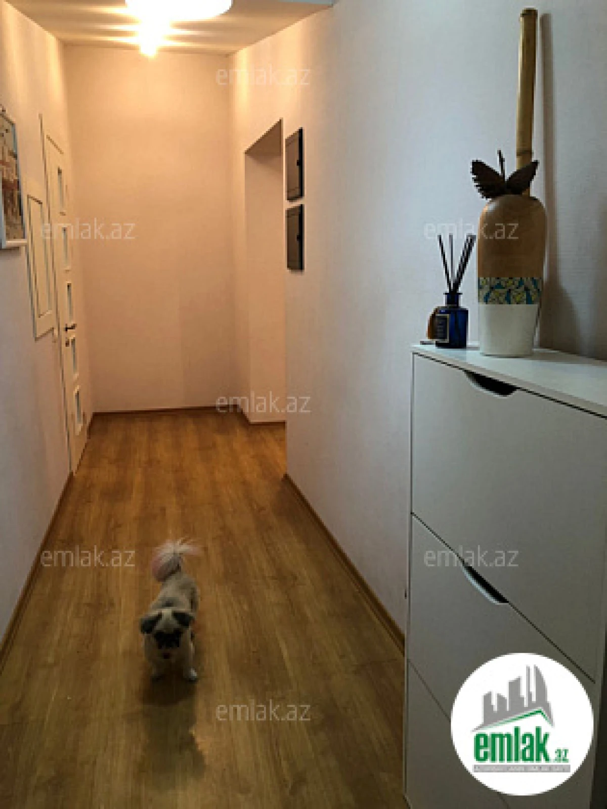 Satılır 6 otaqlı yeni tikili 435.5 m²