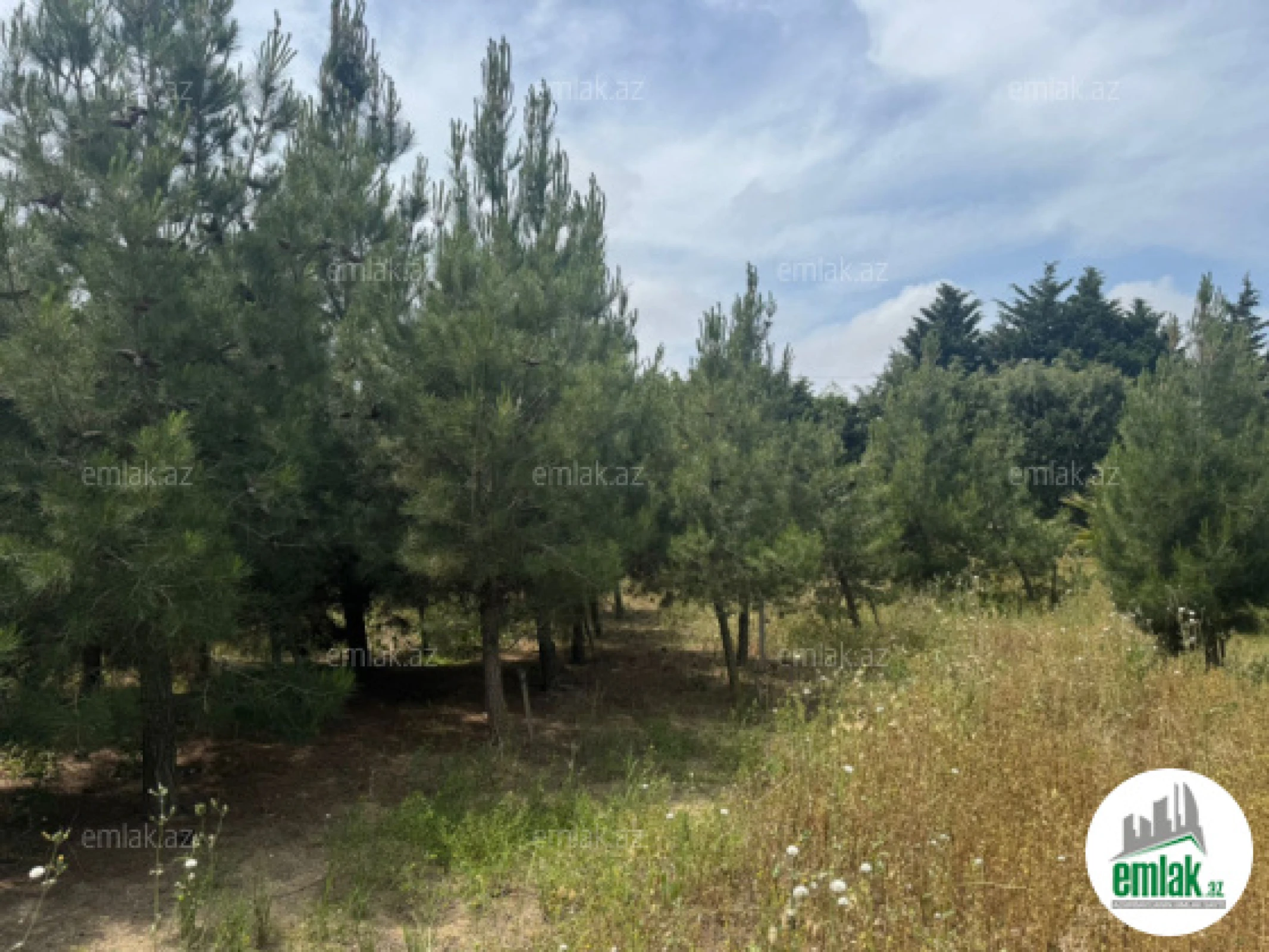 Satılır torpaq sahəsi 30 m²