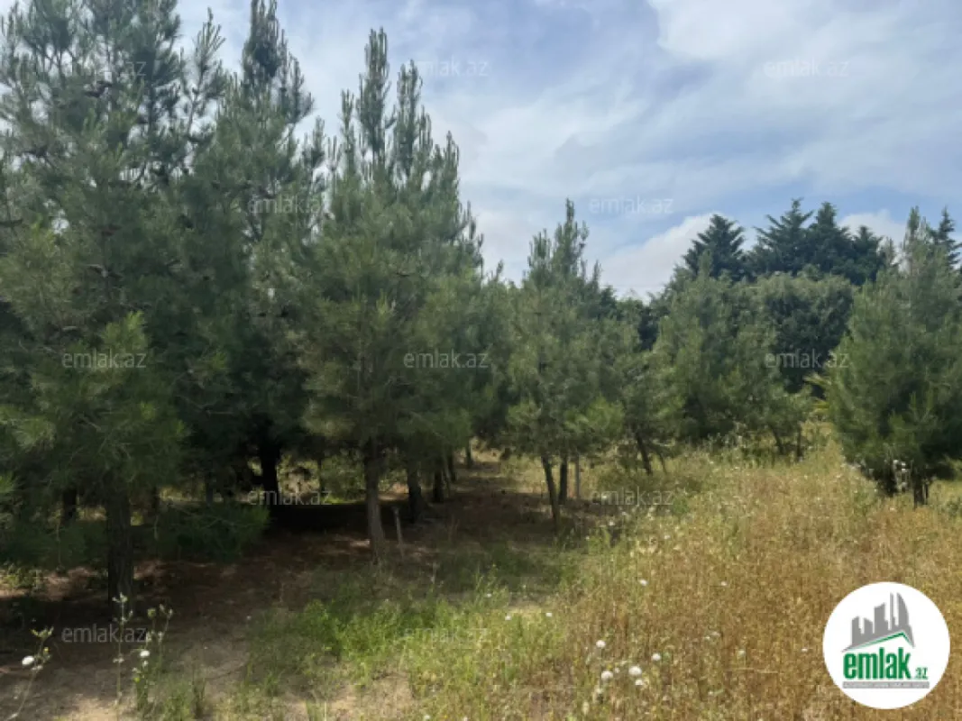 Satılır torpaq sahəsi 30 m²