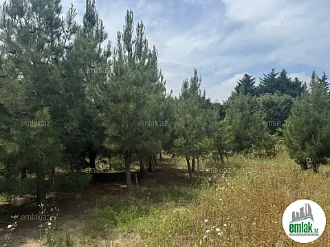 Satılır torpaq sahəsi 30 m²