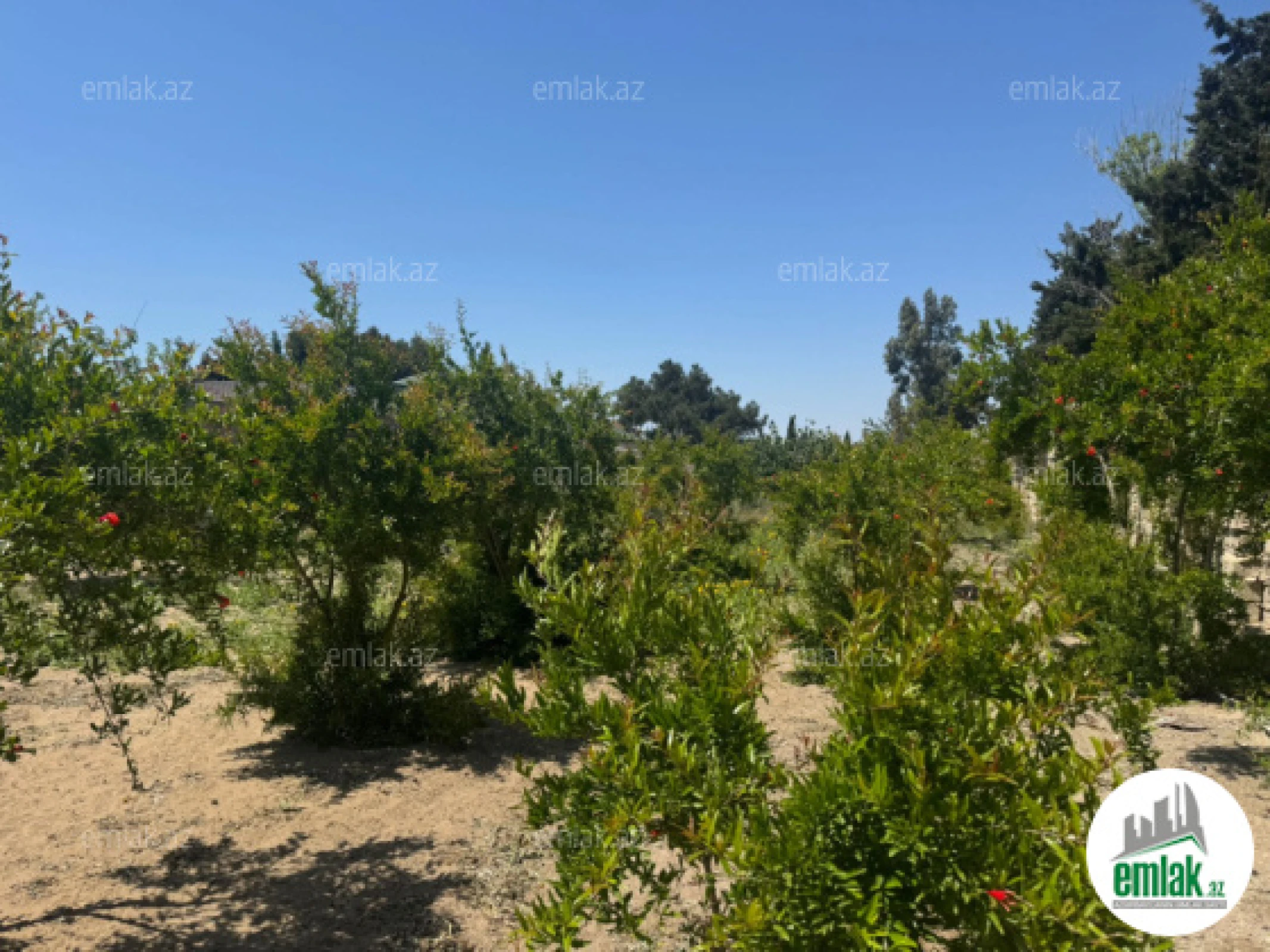 Satılır torpaq sahəsi 23 m²