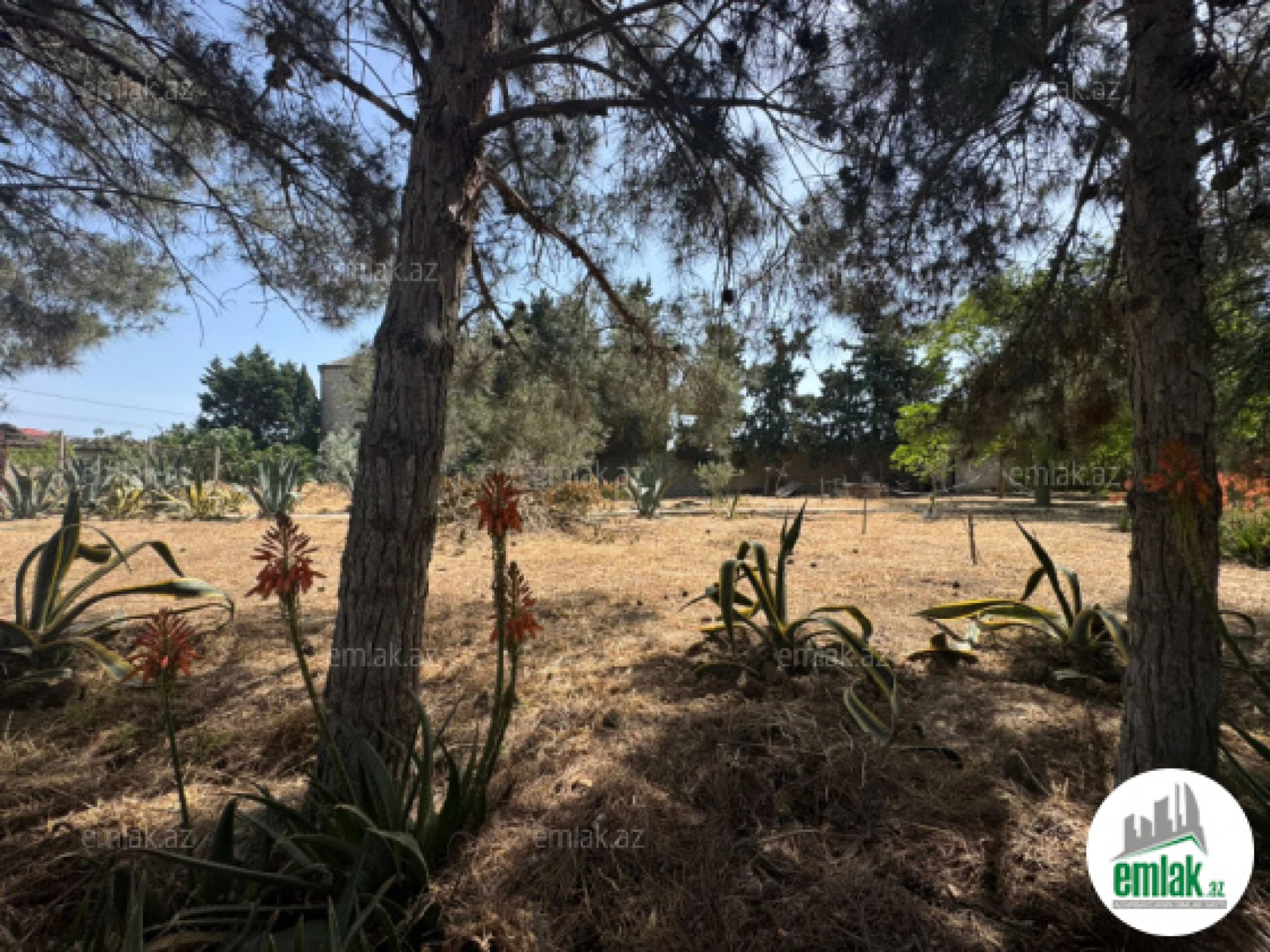 Satılır torpaq sahəsi 24 m²