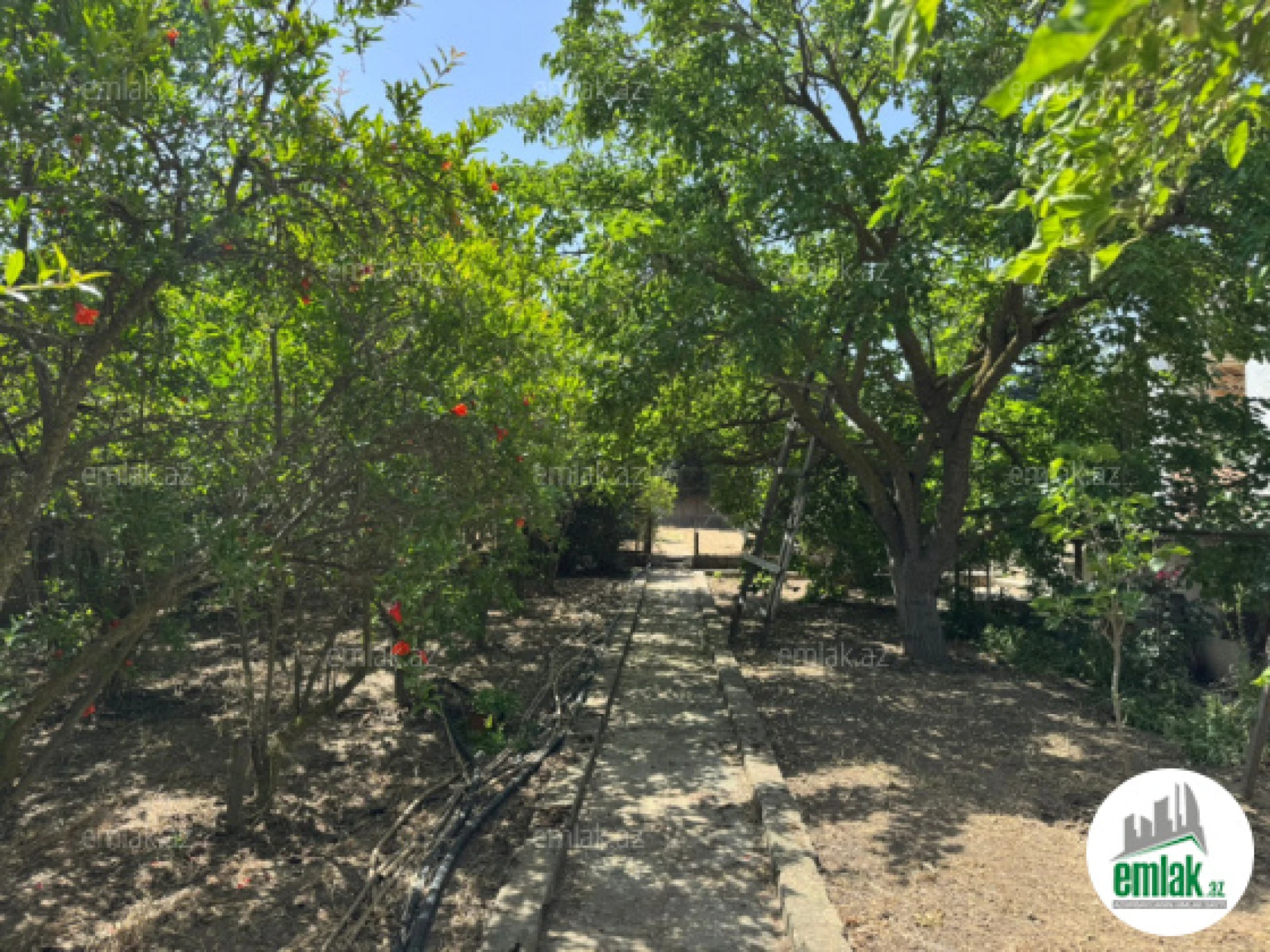 Satılır torpaq sahəsi 24 m²