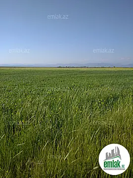 Satılır torpaq sahəsi 20200 m²
