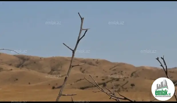 Satılır torpaq sahəsi 50000 m²