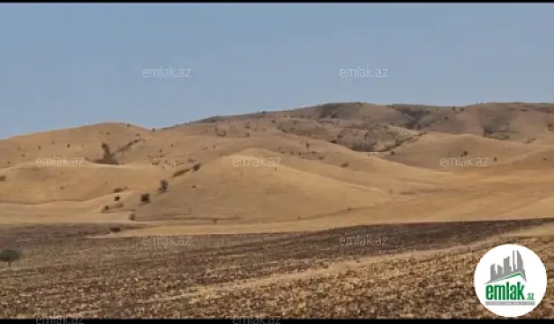 Satılır torpaq sahəsi 50000 m² — Bakı 50000.00 m²
