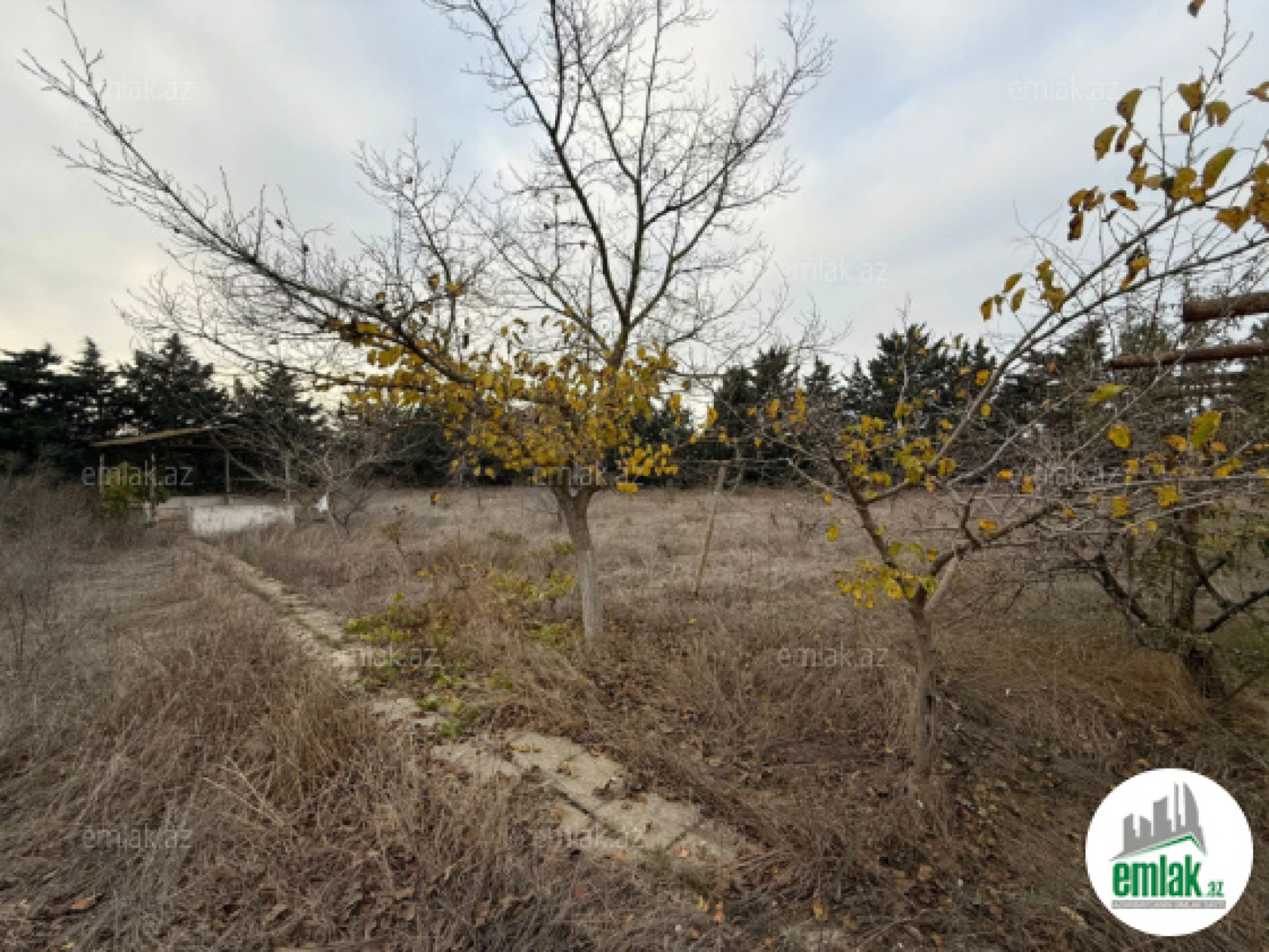 Satılır torpaq sahəsi 24 m²