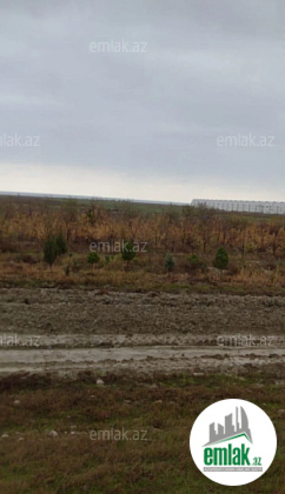 Satılır torpaq sahəsi 10000 m²