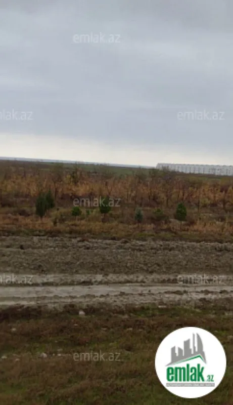 Satılır torpaq sahəsi 10000 m²