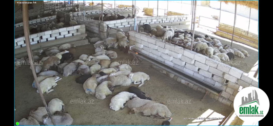 Satılır 3 otaqlı obyekt 2000 m²