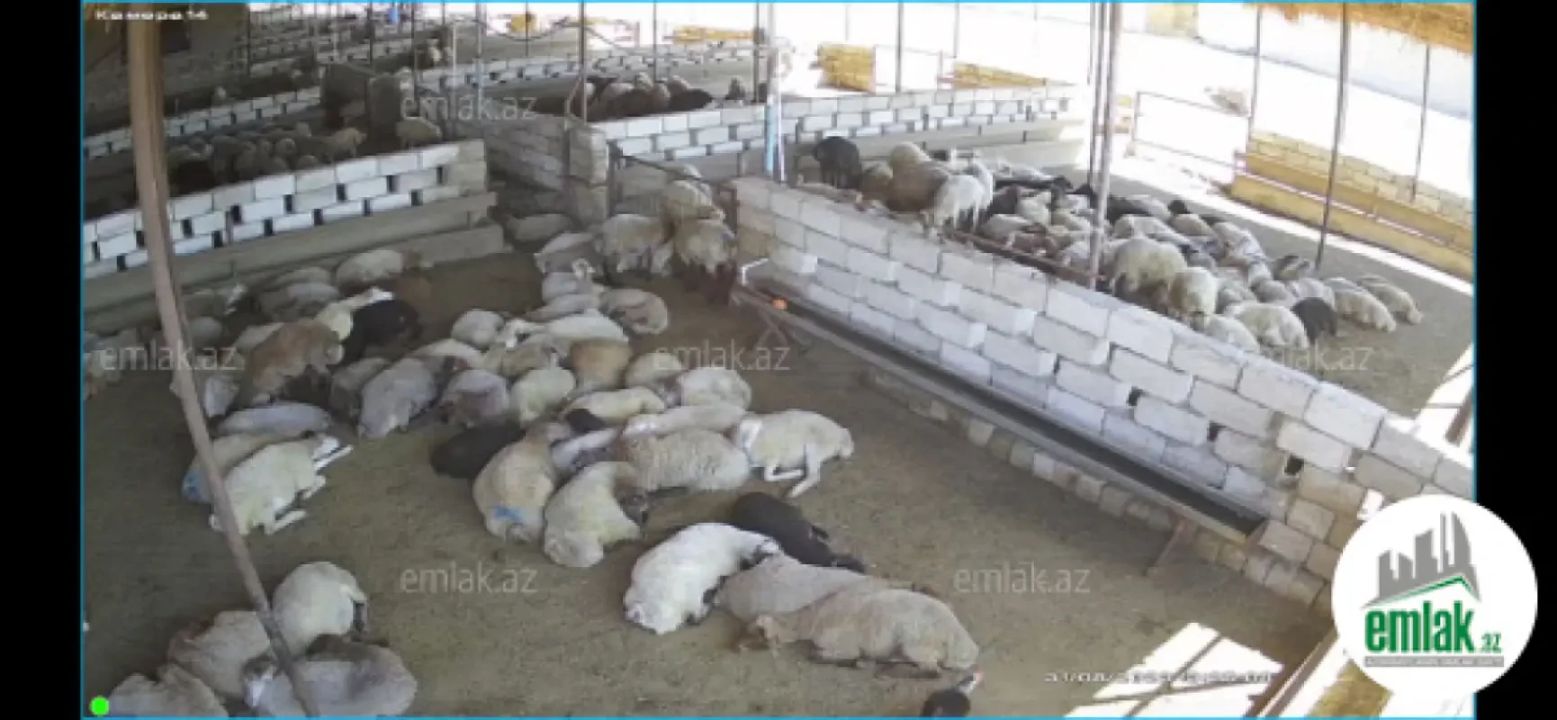 Satılır 3 otaqlı obyekt 2000 m²