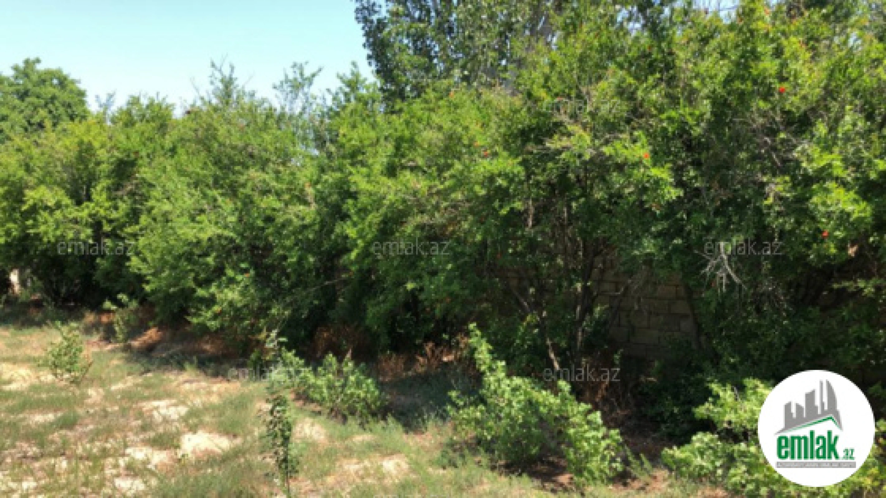 Satılır 5 otaqlı mənzil 220 m²