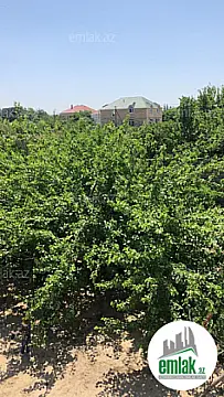 Satılır 5 otaqlı mənzil 220 m²