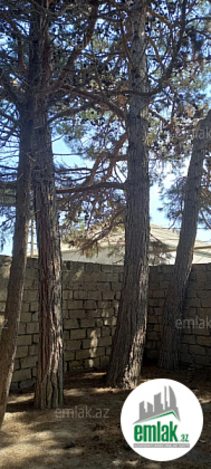 Satılır torpaq sahəsi 50 m²