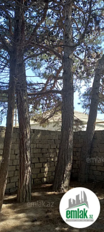 Satılır torpaq sahəsi 50 m²