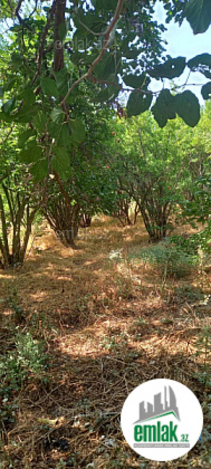 Satılır torpaq sahəsi 50 m²