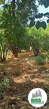 Satılır torpaq sahəsi 50 m²