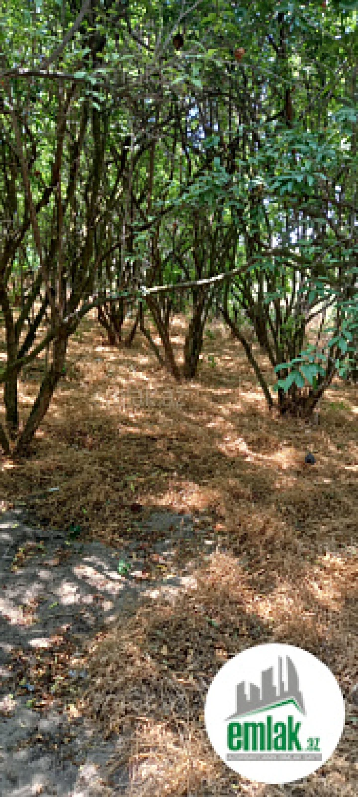 Satılır torpaq sahəsi 50 m²