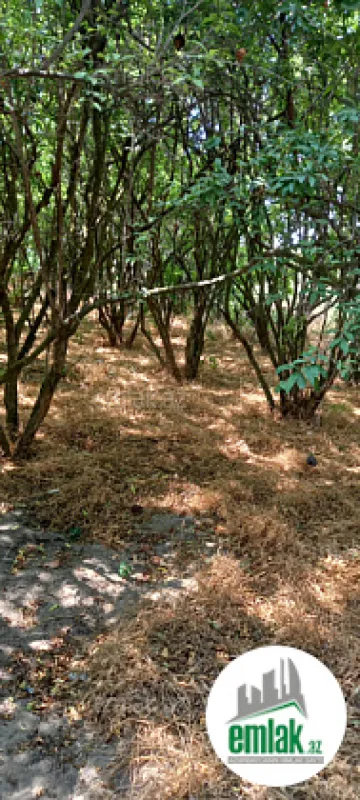Satılır torpaq sahəsi 50 m²