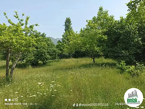 Satılır torpaq sahəsi 10 m² — Qəbələ 10.00 m²