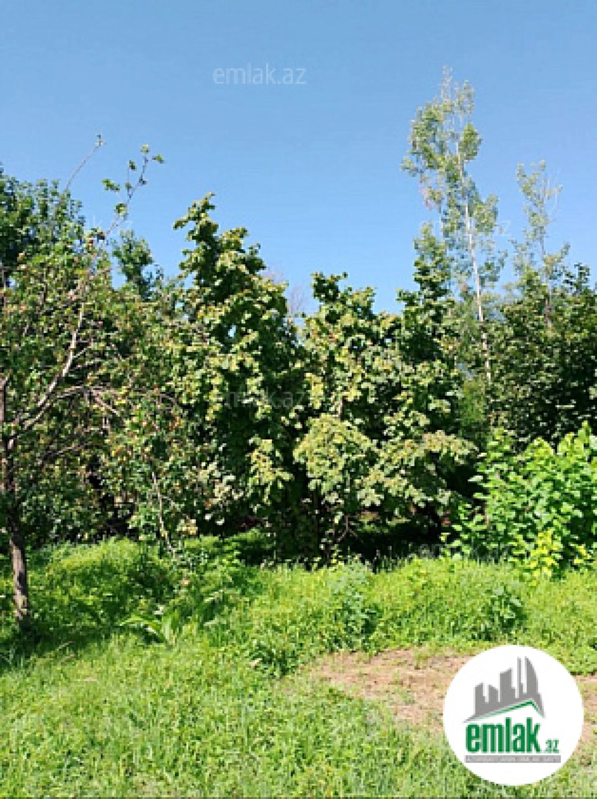 Satılır 1 otaqlı yeni tikili 150 m²