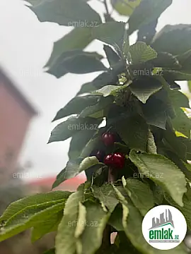 Satılır 5 otaqlı həyət evi 180 m²