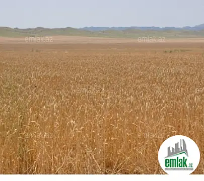 Satılır torpaq sahəsi 5 m²