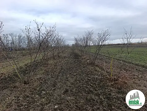 Satılır torpaq sahəsi 14.5 m²