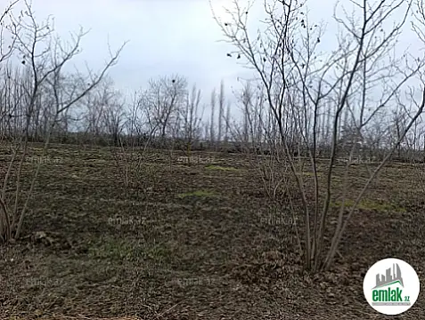 Satılır torpaq sahəsi 14.5 m² — Qusar 14.50 m²