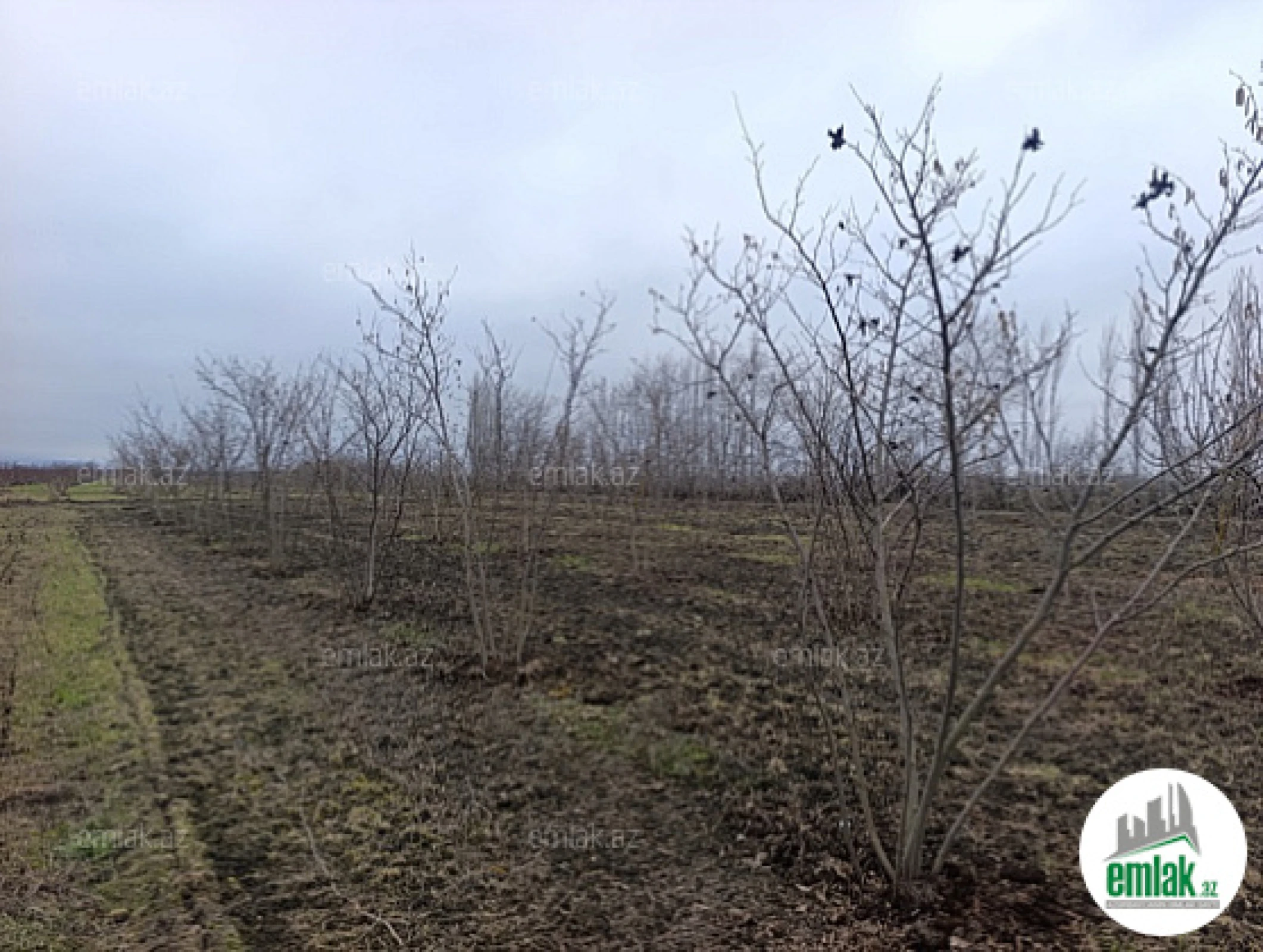 Satılır torpaq sahəsi 14.5 m²